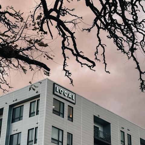 We hope everyone has a safe and spooky Halloween! 🎃👻

Photo credits to one of our residents, @estelleb99 for taking this awesome pic! 📸🍂

#local #boise #apartments #localboise #livelocal #halloween #spooky #downtownboise #idaho