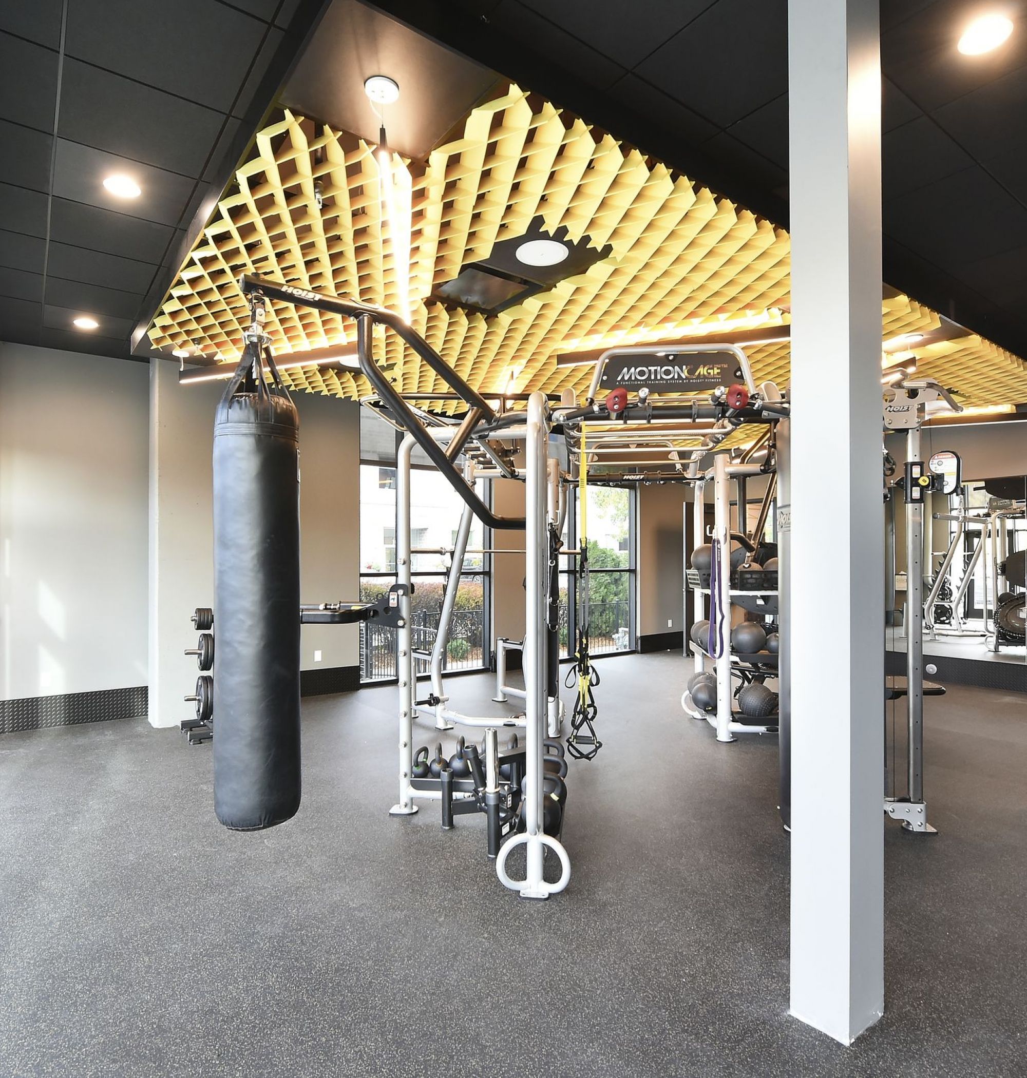 LOCAL Boise Apartments bright and spacious fitness center with crossfit equipment and free weights