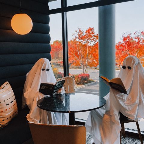 A rare ghost sighting at LOCAL Boise! 👀👀

Happy Halloween! 🎃 👻 

#livelocal #halloween #downtown #boo