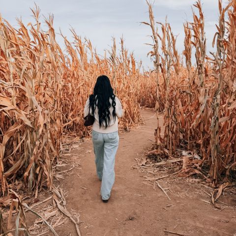 THINGS TO DO THIS HALLOWEEN WEEKEND👇🏼

Friday | October 30th

🎃 Downtown Pumpkin Hunt
4:00p / Downtown Boise

👻 Fright Nights
7:00–11:00p / Old Idaho Penitentiary, Boise
Recommended for ages 13+

Saturday | October 31st

🦉 Fall Frights
11:00a–3:00p / World Center for Birds of Prey, Boise

🍬 Harrison Boulevard Trick-or-Treating
Around 4:00p / Harrison Boulevard, Boise

🎬 The Rocky Horror Picture Show
9:00p / Egyptian Theatre, Boise
18+

Sunday | November 1st

🌻 Scarecrow Stroll
9:00a–5:00p / Idaho Botanical Garden, Boise

🎿 75th Annual Ski Swap
10:00a–3:00p / Expo Idaho, Garden City
Free admission with two canned food items!